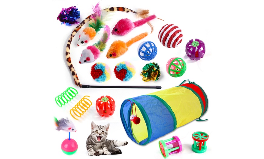 Image 10: One or Two 20-Piece Cat Toy Sets