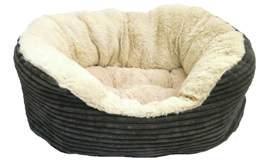 Image 2: Rosewood Jumbo Dog Bed