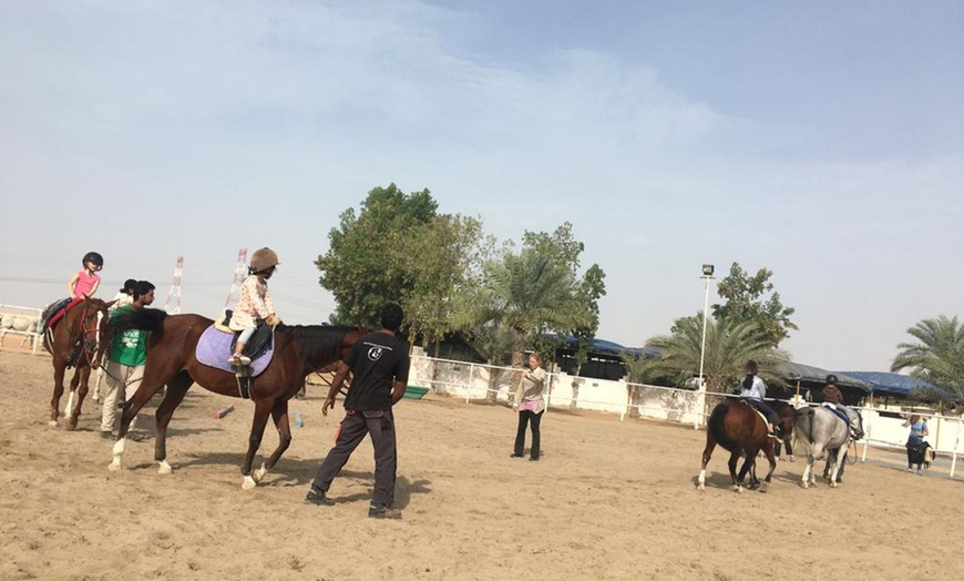 Image 4: Private Horse Riding Lesson