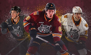 Chicago Wolves Hockey – Up to 30% Off