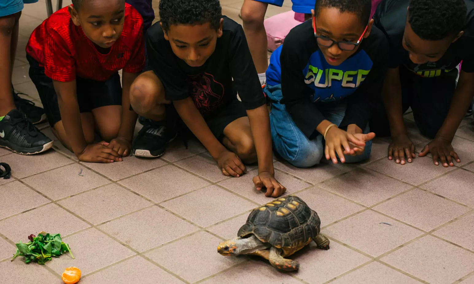 Critter Camp Registration at Critter Camp (Up to 43% Off). Nine Options Available.  - Primary Image