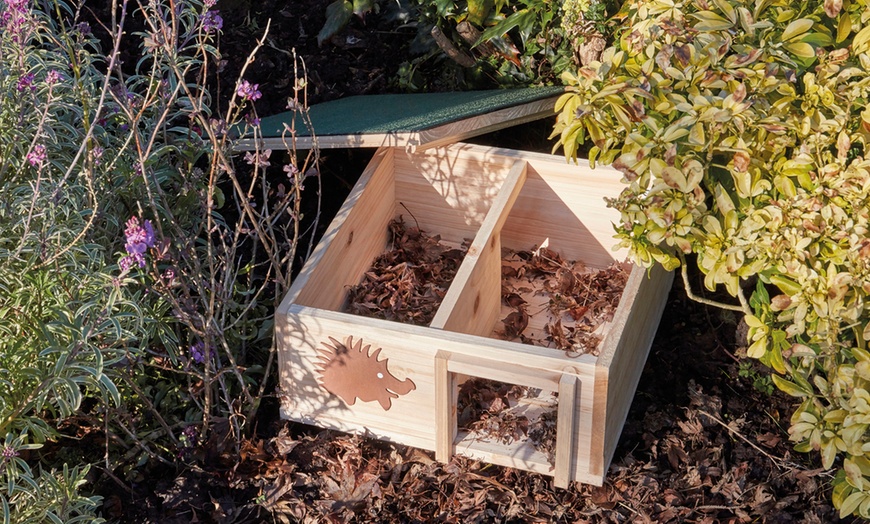 Image 3: Endangered Hedgehog House
