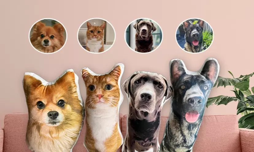 Custom Pet Pillow
