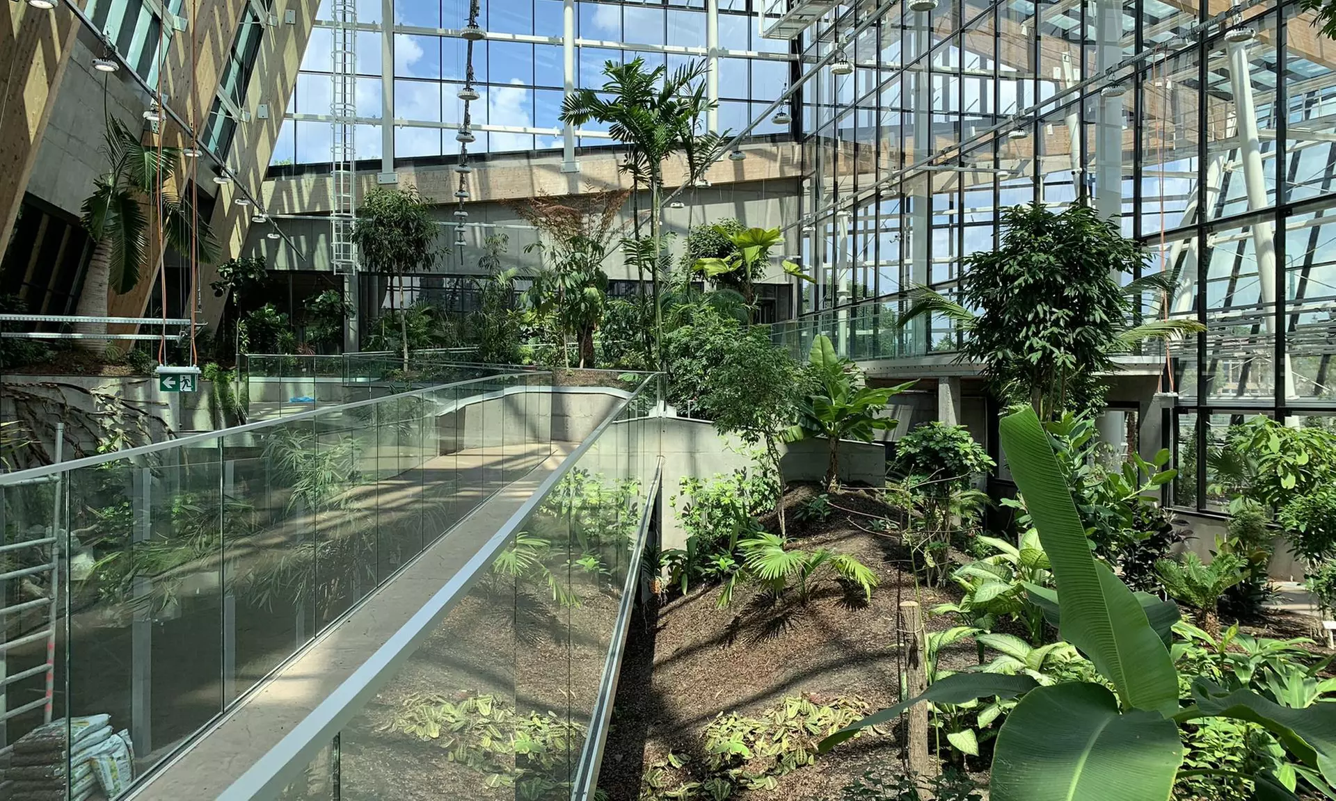 Zobacz z bliska egzotyczne rośliny i zwierzęta: bilety do Egzotarium