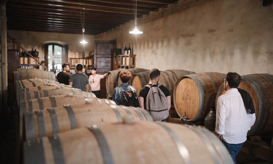 Image 5: Cata de vinos y paseo por el viñedo de Can Roda Bodega