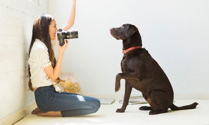 Herunterladbarer Online-Kurs: Tierfotografie mit praktischen Tipps