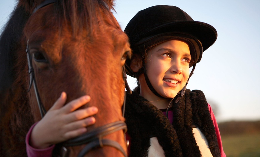 Image 1: Children's Pony Experience