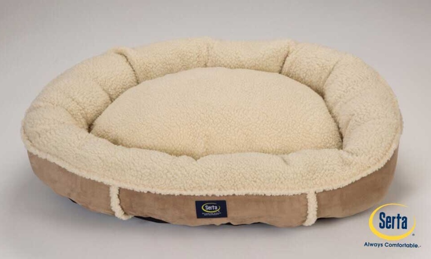 Serta always comfortable top dog bed