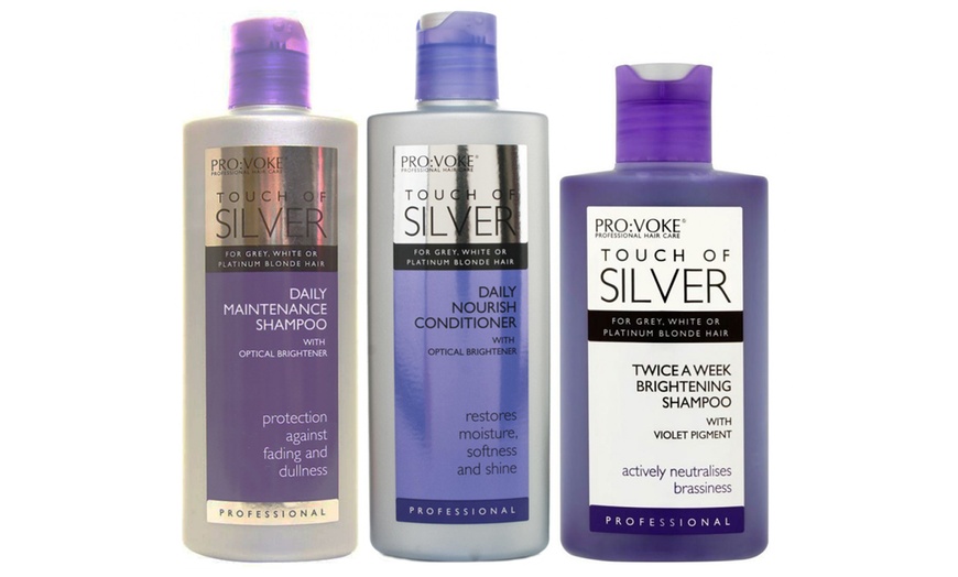 Image 1: Provoke Touch of Silver Hair Set