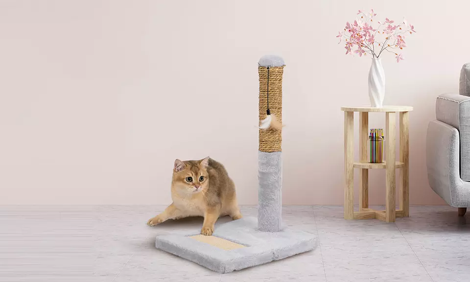 Tiragraffi in sisal naturale con base rinforzata in vari modelli e colori