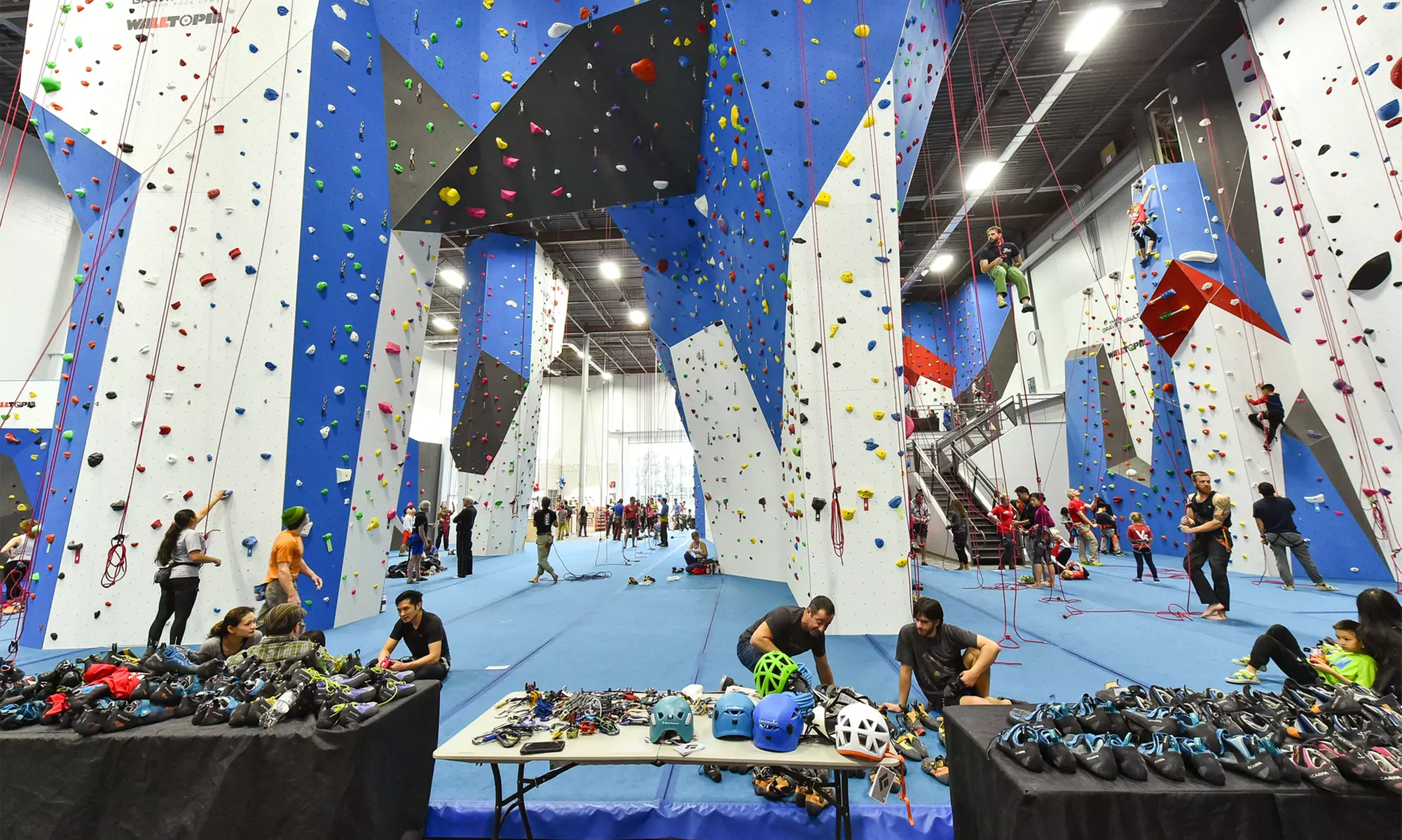 Climbing Lessons at The Gravity Vault (Up to 60% Off). Four Options Available.  - Primary Image