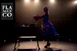 "Emociones": vive la emoción del flamenco en Madrid del 16 al 28 de febrero con una entrada general al 31% - Second Medium