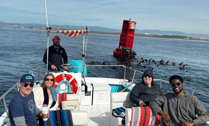 Image 1: Discover Marine Wonders on a Fast-paced Sea Safari