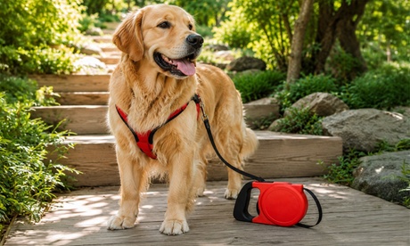 Set de 3 correas extensibles para perro de 5 u 8 metros de longitud: Azul / 8 metros