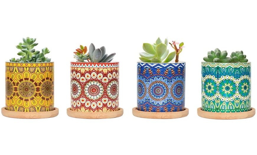 Image 11: Lot de 3 pots de fleurs en céramique pour succulentes