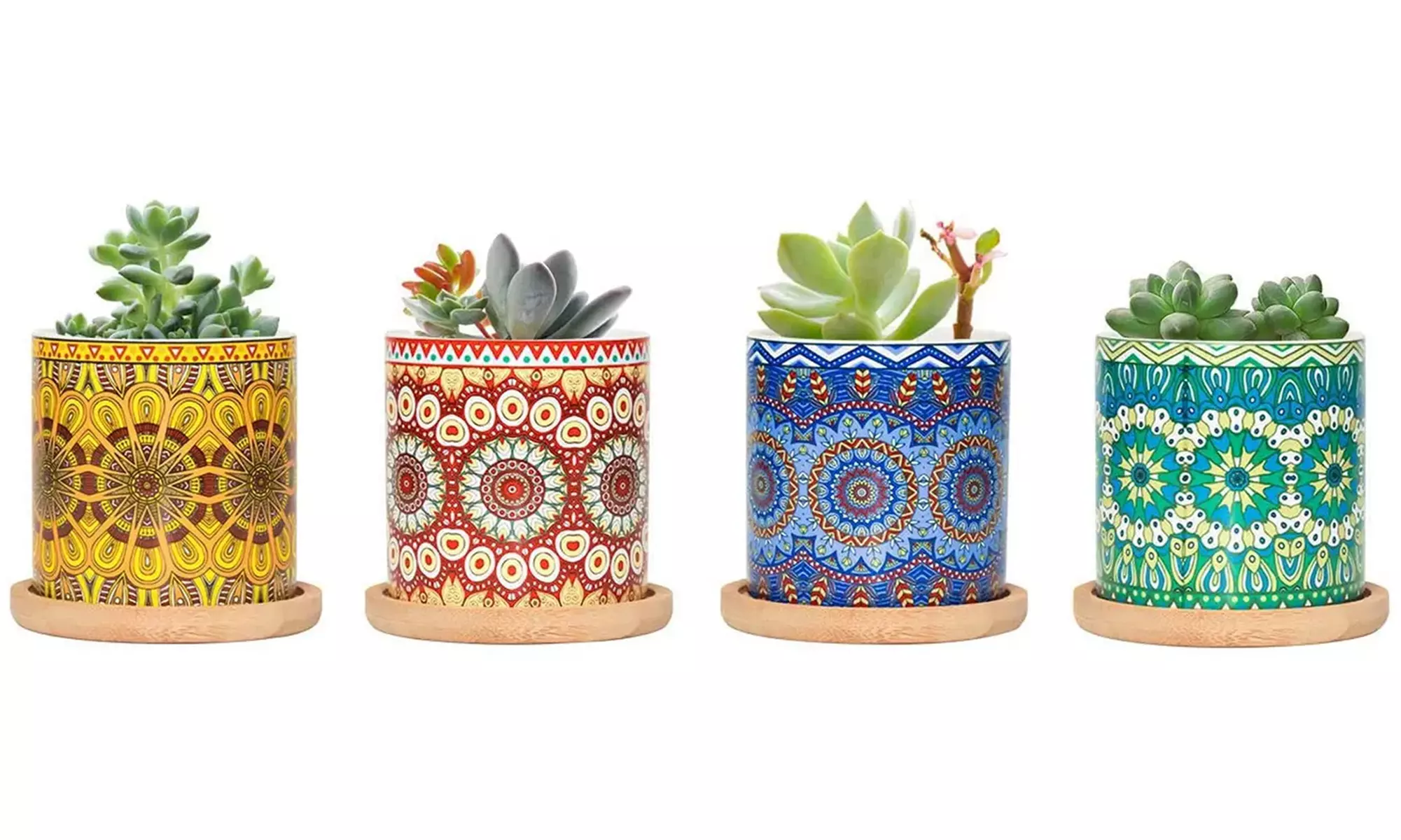 Lot de 3 pots de fleurs en céramique pour succulentes