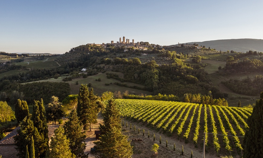 Image 2: ⏰ Tour in vigneto e cantina con degustazione