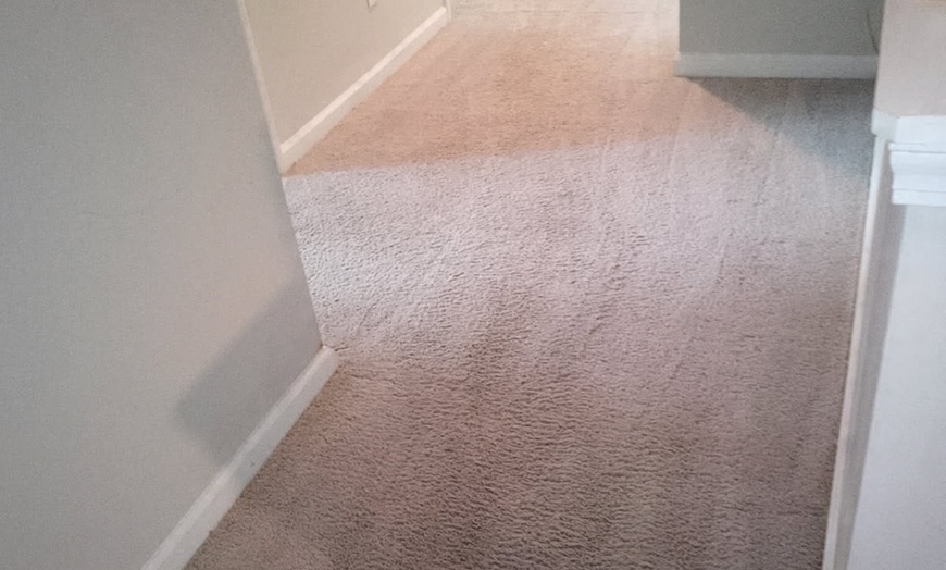 Image 4: Steam Cleaning for 3, 4, 5, 6, or 7 Rooms, One Hallway, Closets & More