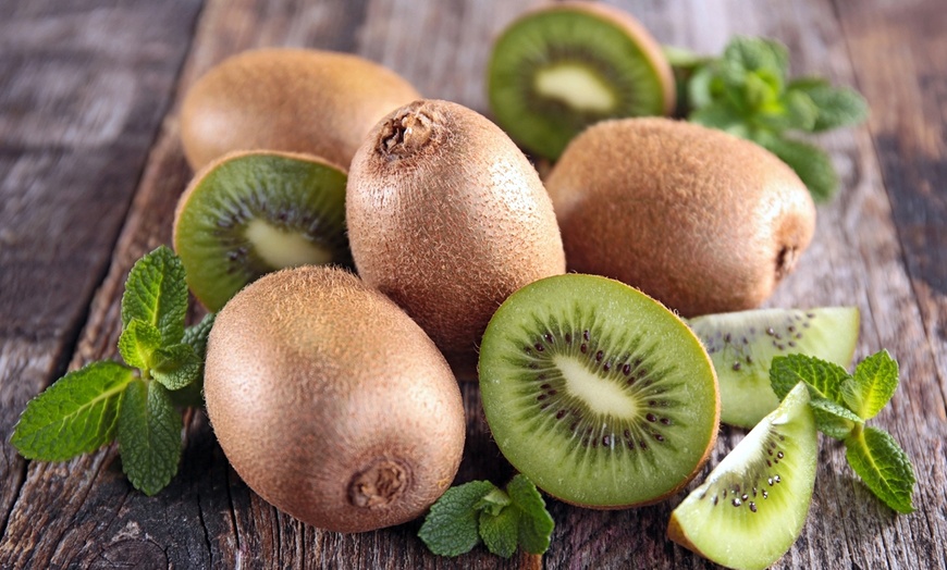 Image 3: Lot de 3 ou 6 plants de kiwi