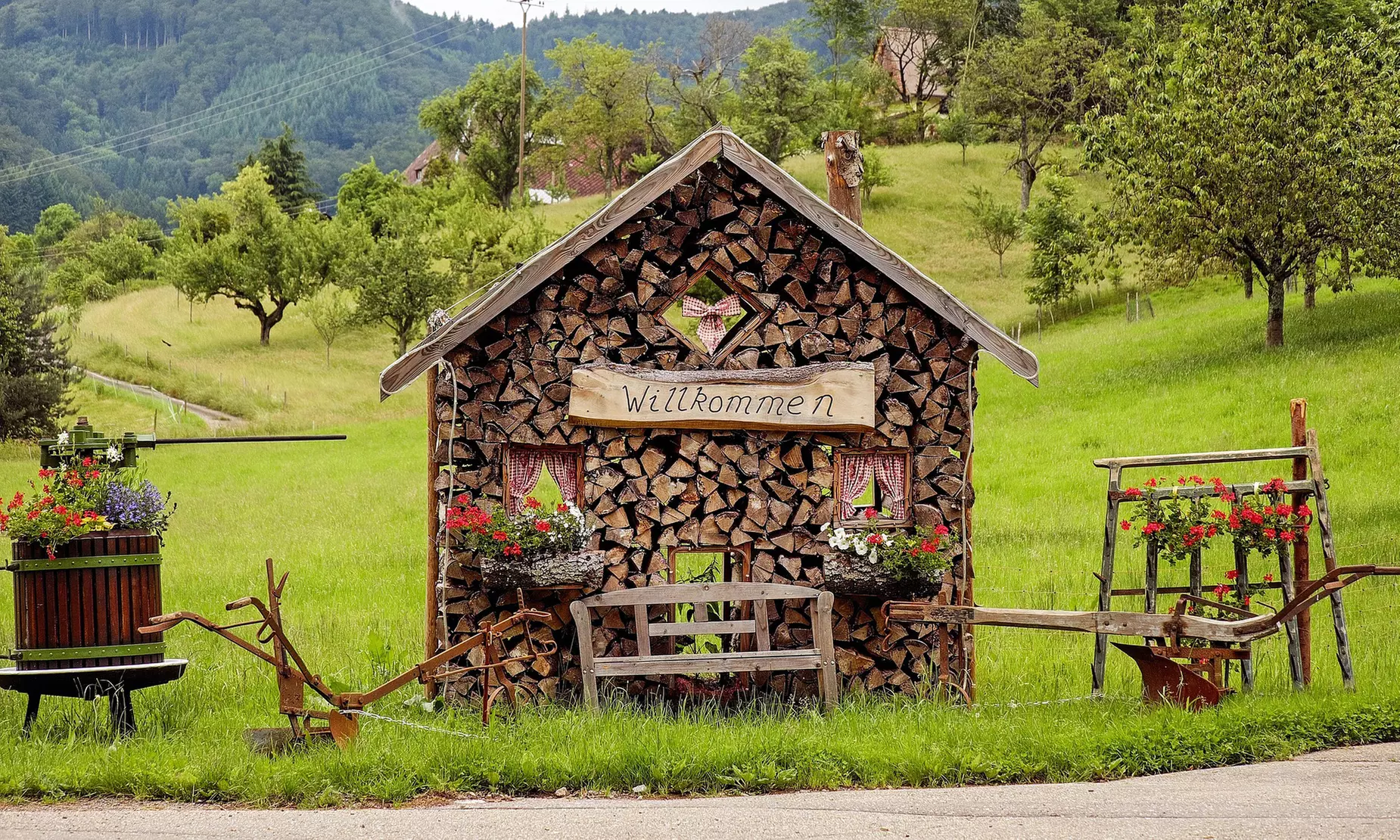 Schwarzwald: 1-5 Nächte mit Halbpension, Kuchen und Konus-Karte