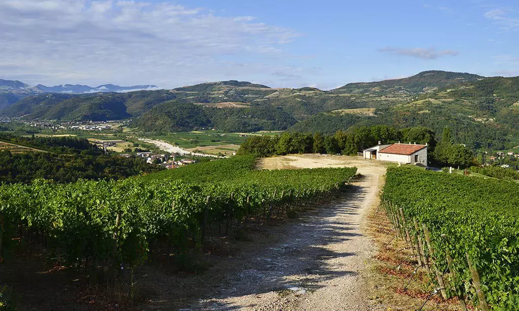 Verona: camera matrimoniale con colazione, Spa e drink di benvenuto