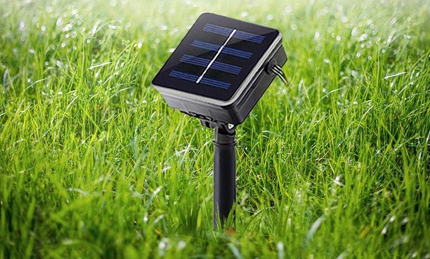 Image 6: 100 or 200 Solar Net Lights