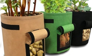 One, Two or Three Plant Growing Bags