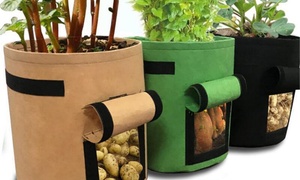 One, Two or Three Plant Growing Bags