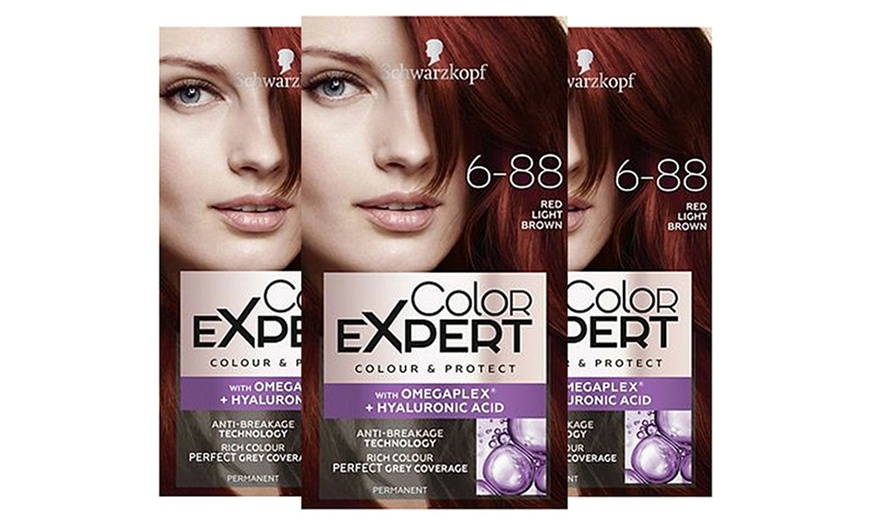 Image 35: Schwarzkopf Color Expert Hair Dye