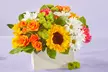 ProFlowers Radiantly Fresh Flowers & Gifts with Same Day Delivery Up to 64% Off  - Second Medium