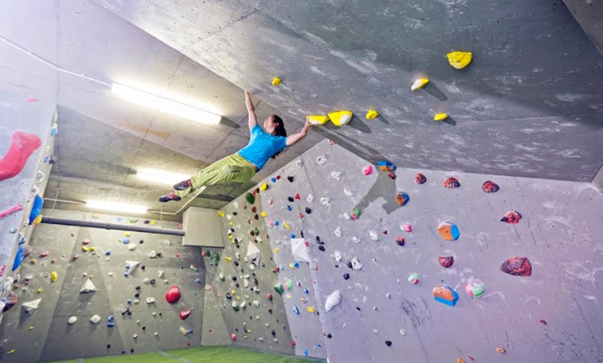 Image 2: Indoor Climbing with Introduction