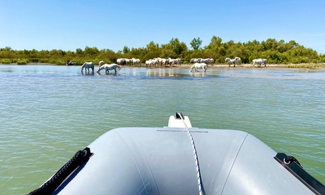Balade guidée en Safari Zodiac de 2h pour 1, 2 ou 4 personnes avec Trott Camargue
