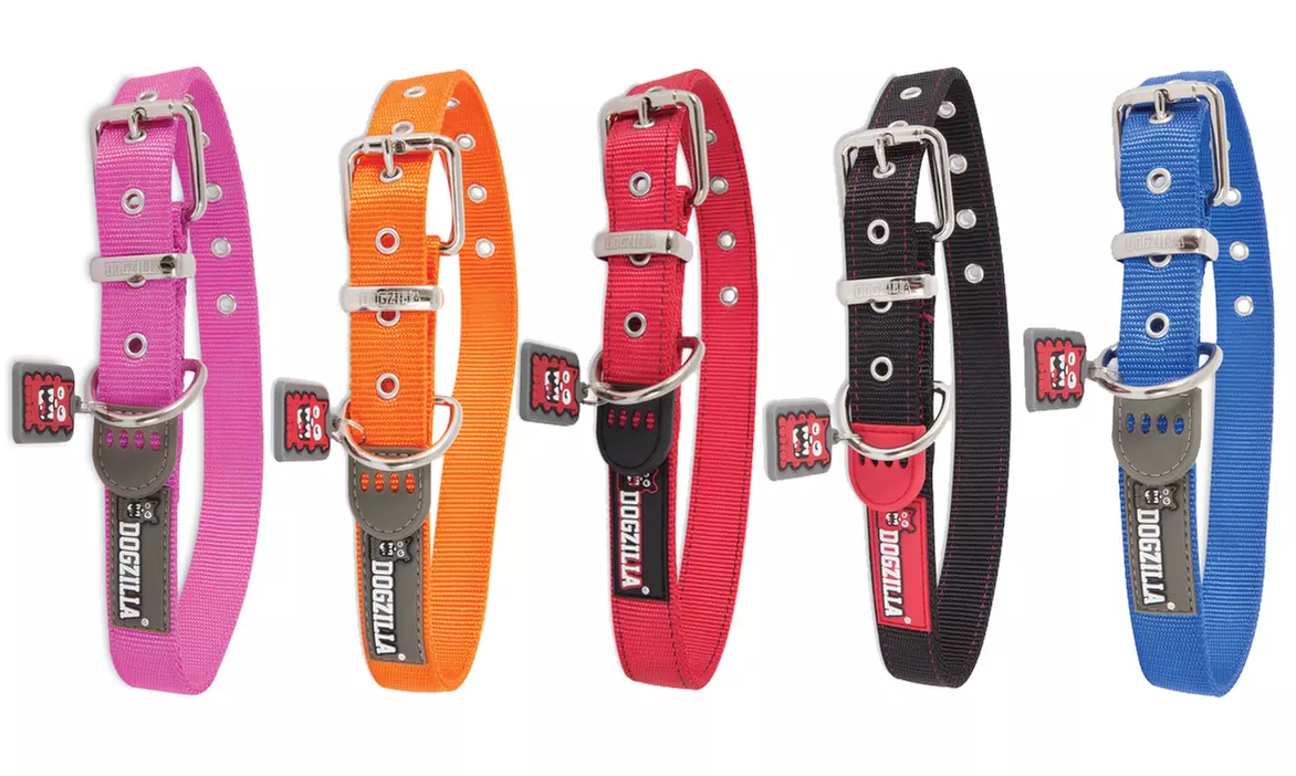 Petmate Dogzilla Adjustable Dog Collars - Primary Image