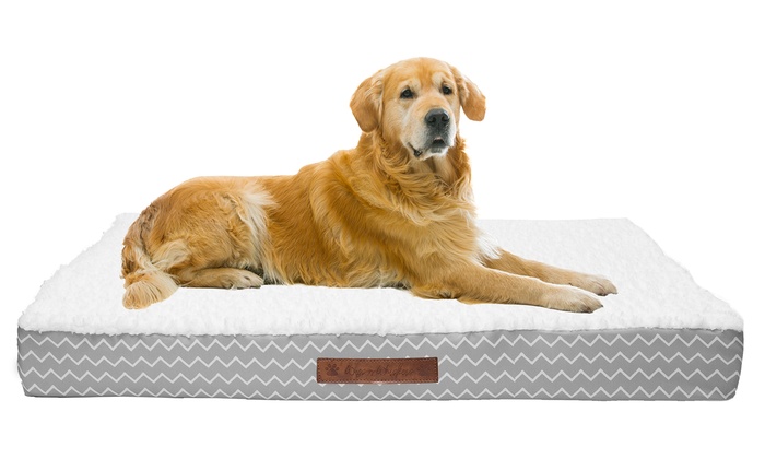 Wags and Whiskers Orthopedic Pet and Dog Bed | Groupon