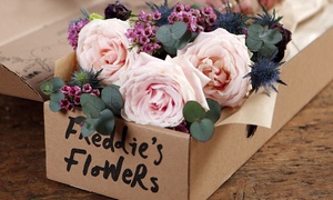 50% Off Flower Boxes