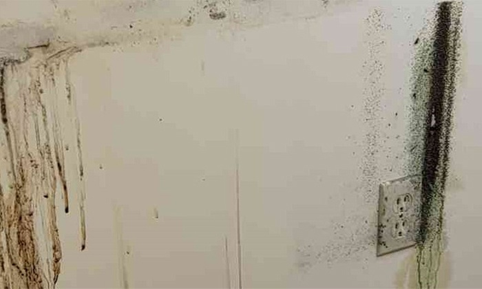 Mold Removal Package from Filthy Masters INC