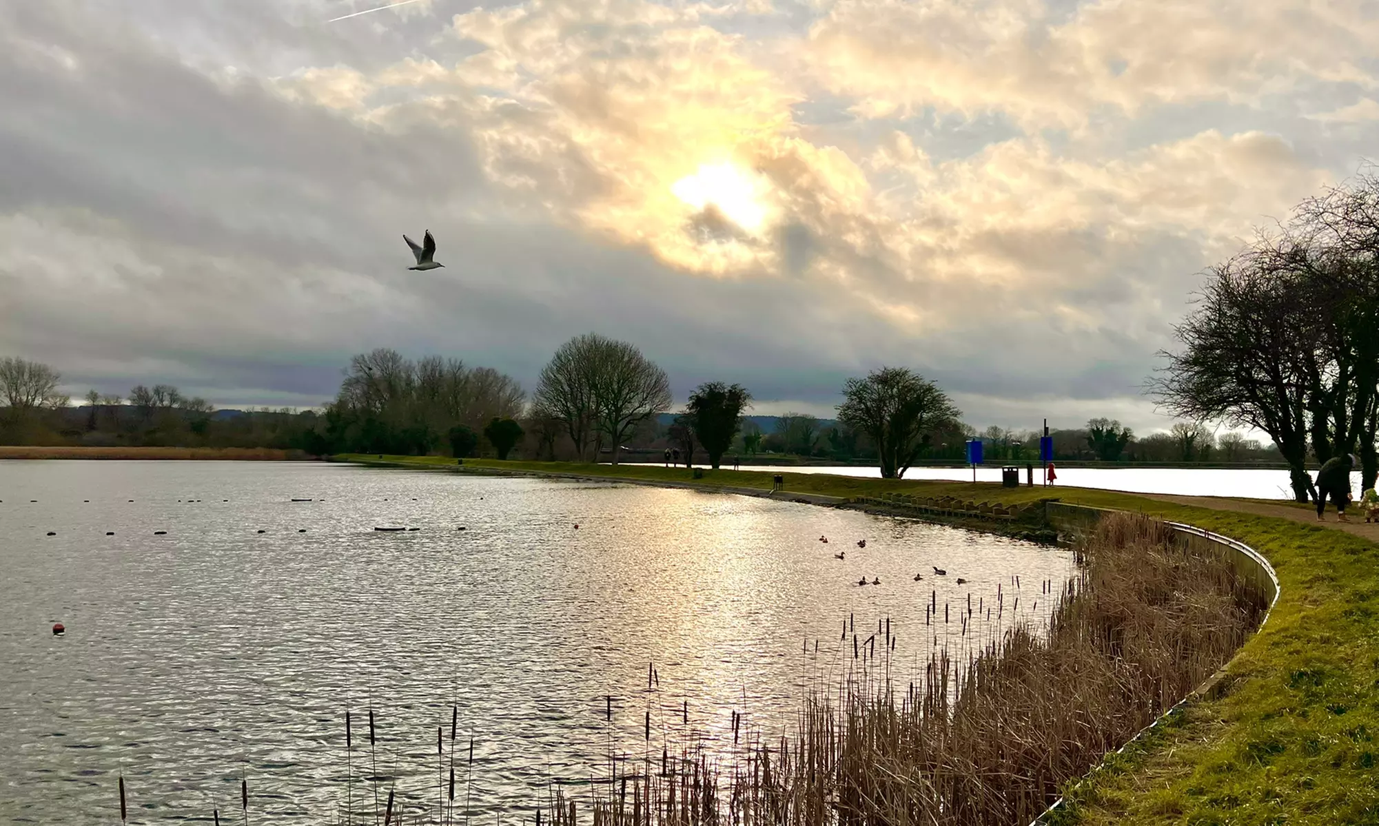 Enjoy Unique Canal Routes: Luxury One Day Narrowboat Hire