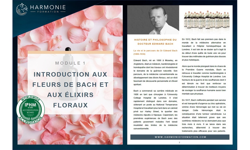 Image 2: Apprenez à équilibrer vos émotions naturellement