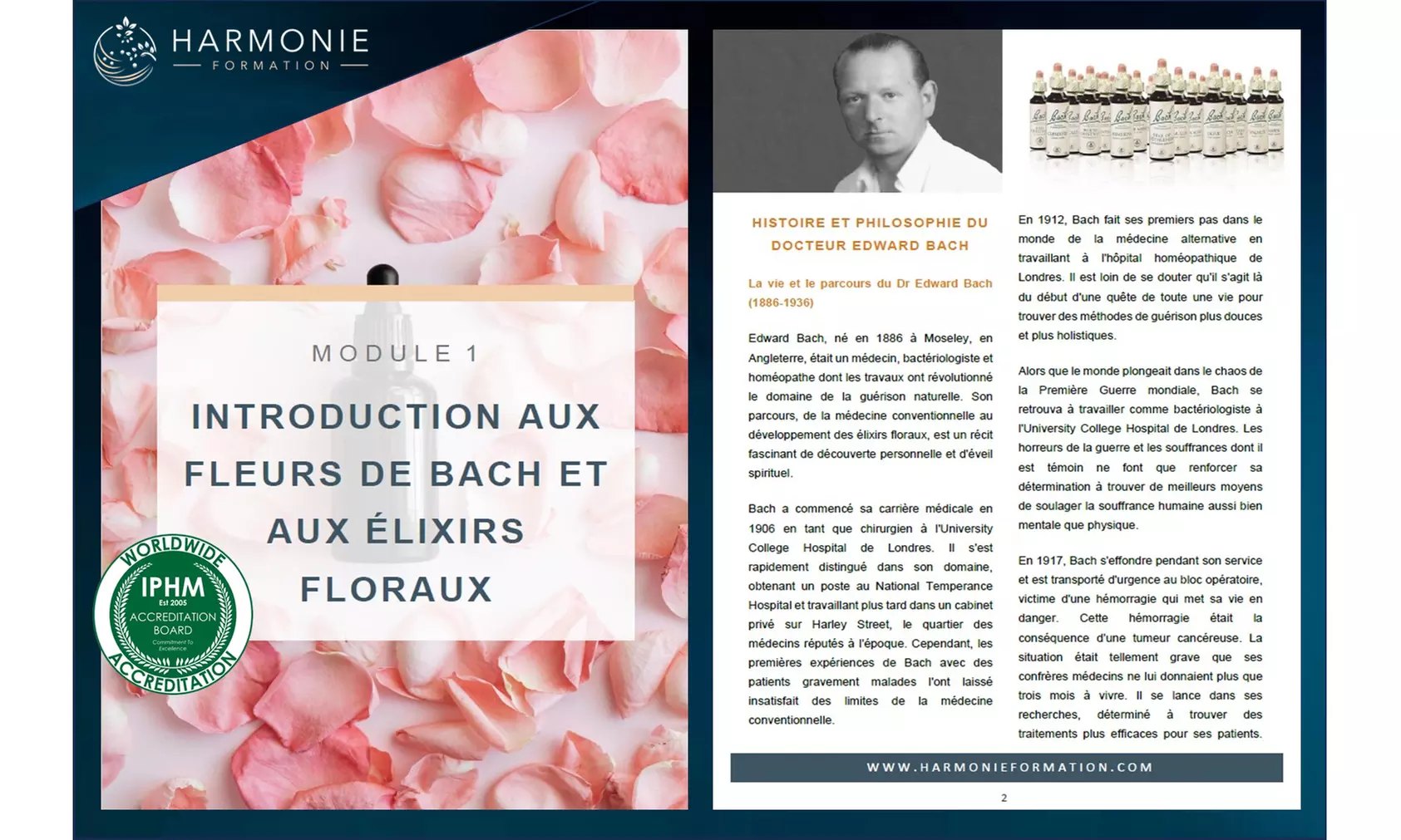 Apprenez à équilibrer vos émotions naturellement