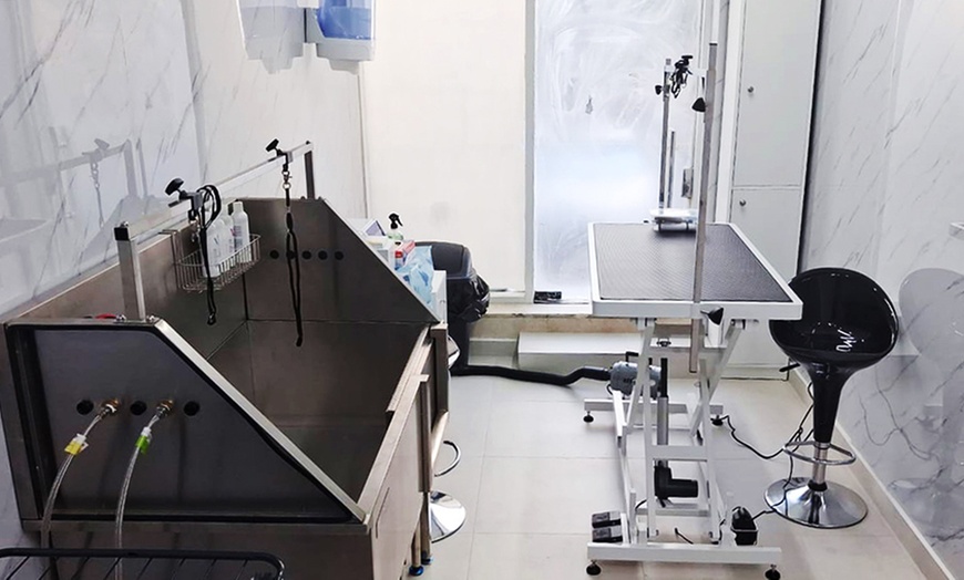 Image 2: Explore Vaccine and Grooming Packages for Your Pet