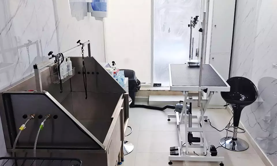 Explore Vaccine and Grooming Packages for Your Pet