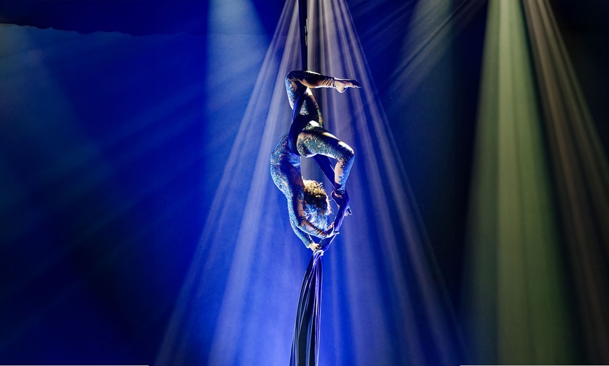 Image 5: Menu privilège poisson ou viande pour 2 au Docks Circus