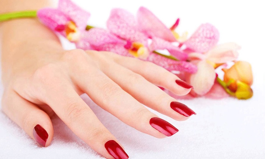 Image 5: Manicure and Pedicure