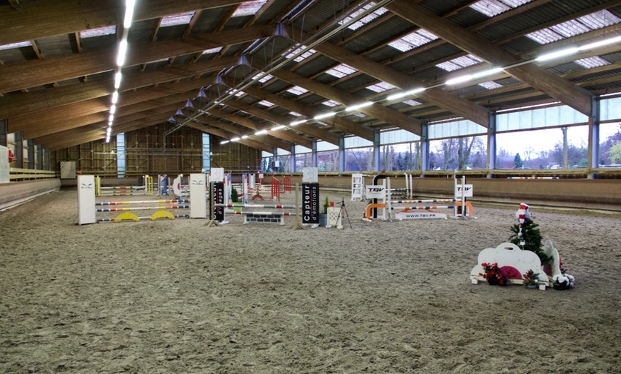 Image 5: Découverte de l'équitation au Haras des Bussières 