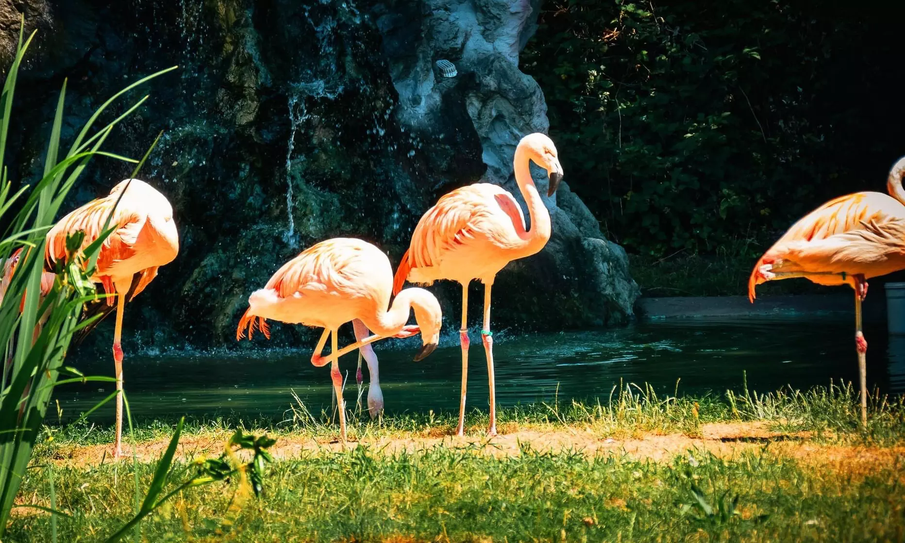 Tageskarten für das Freizeit-Land Geiselwind