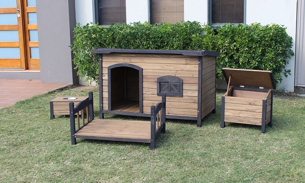 Flat roof dog sales kennel