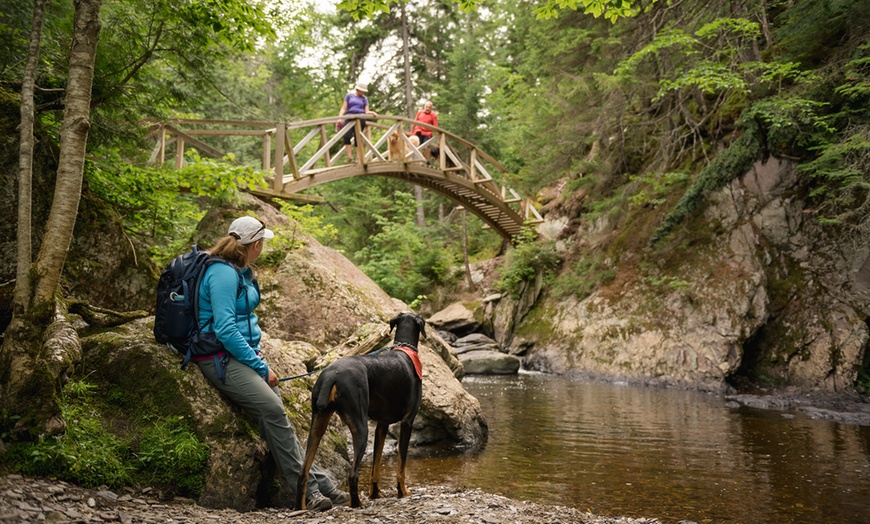 Image 9: Overnight Stay in the Heart of Nature