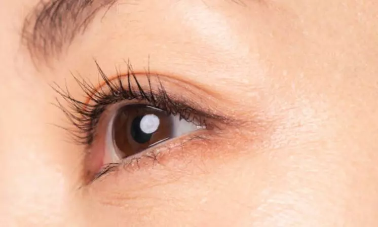 Hasta 54% de dto. en Tinte de pestañas en Salon de belleza Priego