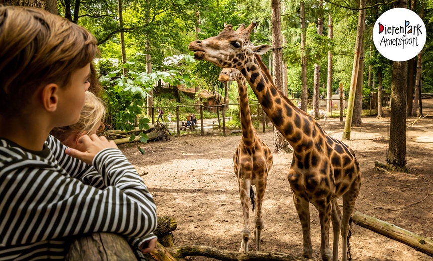 Image 1: Ein tierisches Abenteuer wartet auf dich