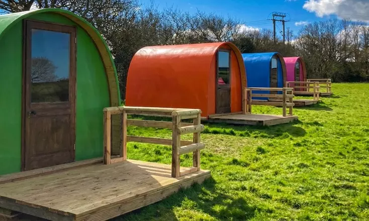 Cornwall: 2 Nights with Springfields Fun Park & Pony Centre Entry